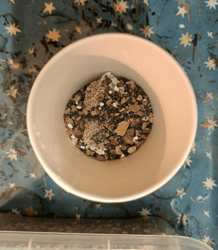 Step 2: spoonful of sand and gravel mix added to spackle