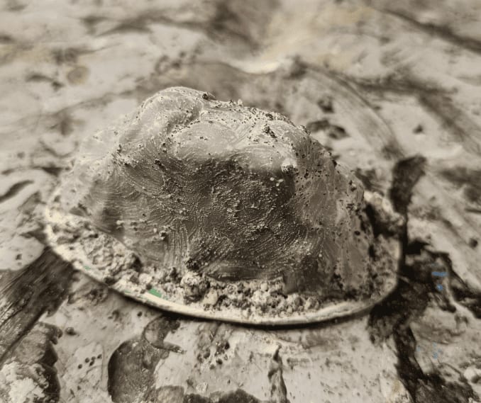 image-20260309082938371