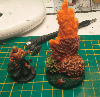 Undergroup Aquarium plant