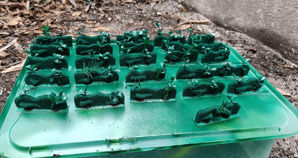 image-20231226152758513