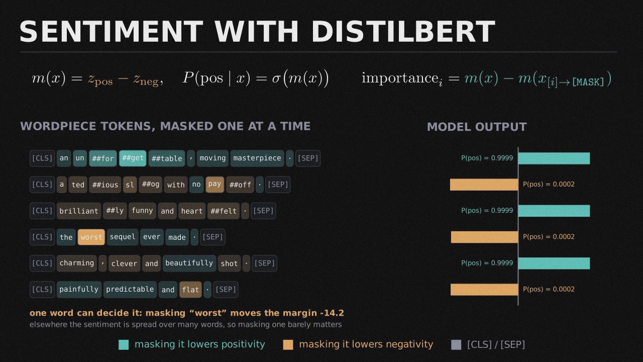 Sentiment Analysis with DistilBERT preview