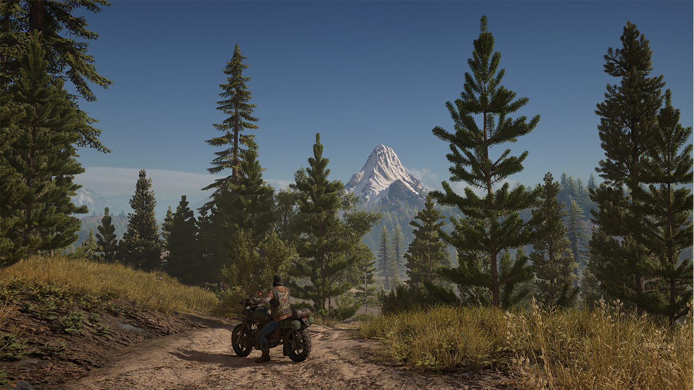Days Gone látkép