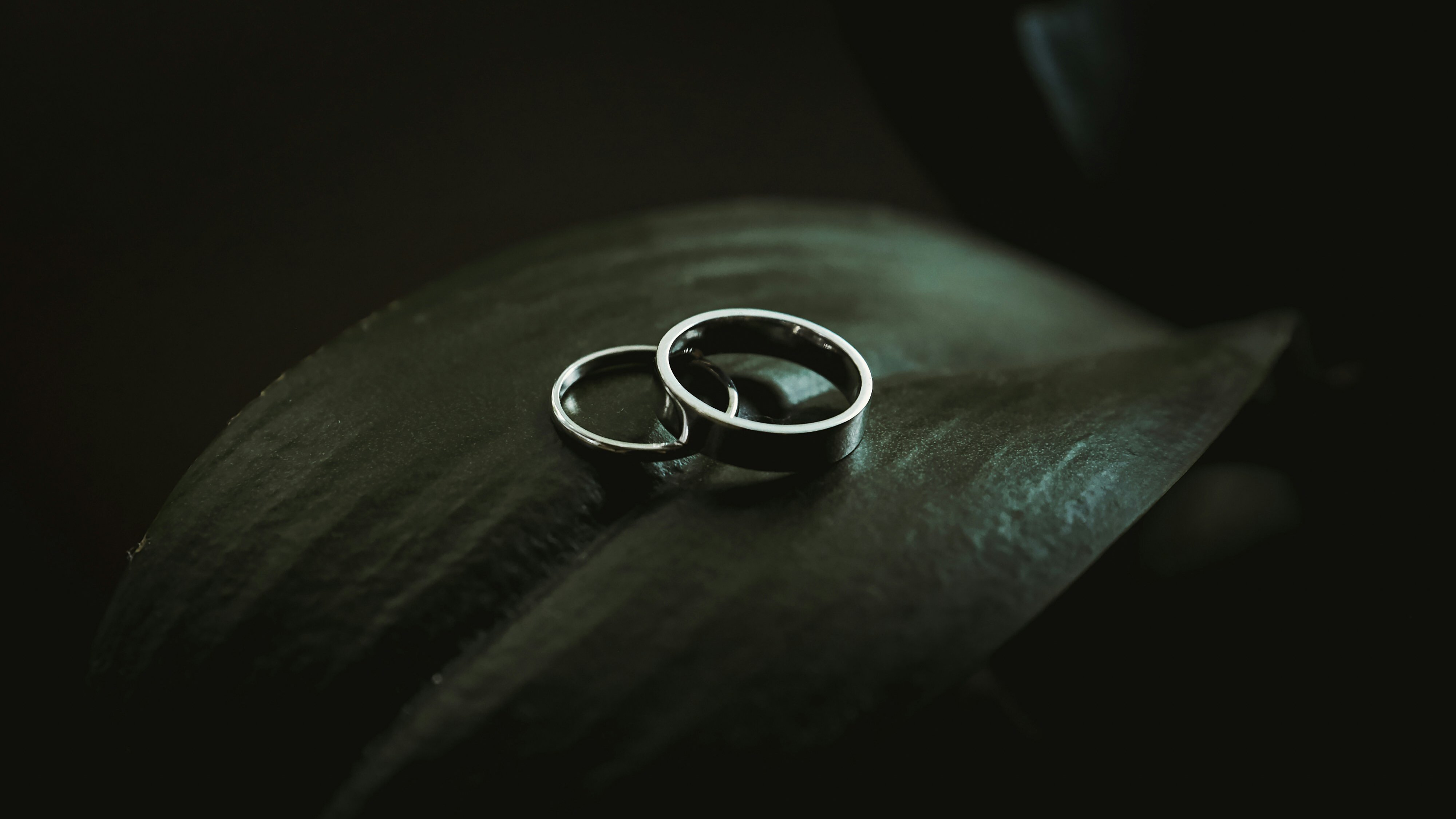 Take the Best Wedding Photos to Create Timeless Memories