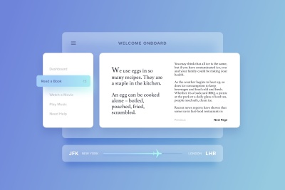 Airplane Dashboard Interface