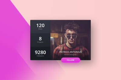Mini Profile Widget