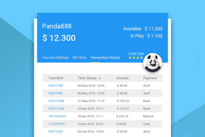 Payment Wallet History