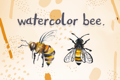 Watercolor Bee