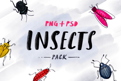 Insects – Sketched Pack