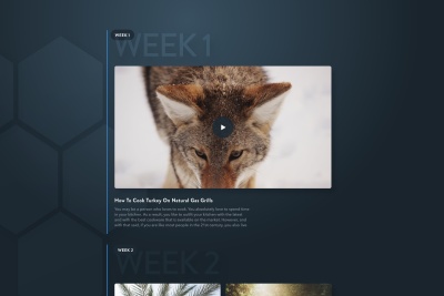 Fitness Web App – Video List