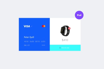 Payment Gateway Modal