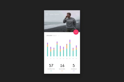 App Report / Stats Screen
