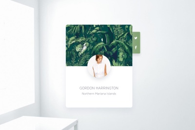 Minimal Profile Showcase Widget