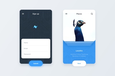 Mobile App Template – Signup/Cards