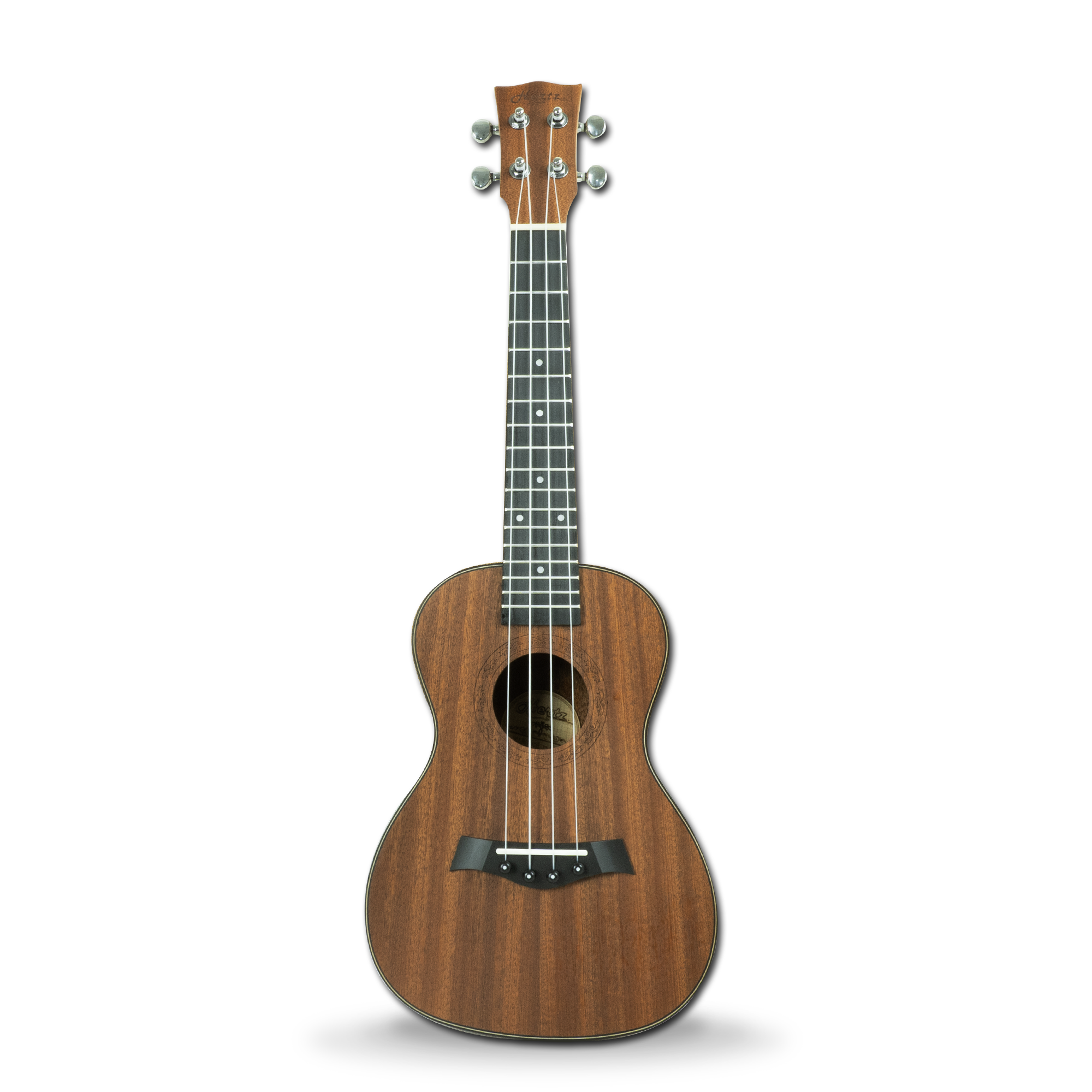 HERTZ HERTZ HZA - UK(24) Professional Guitar for Musicians, Live Performance and Studio Applications view 1