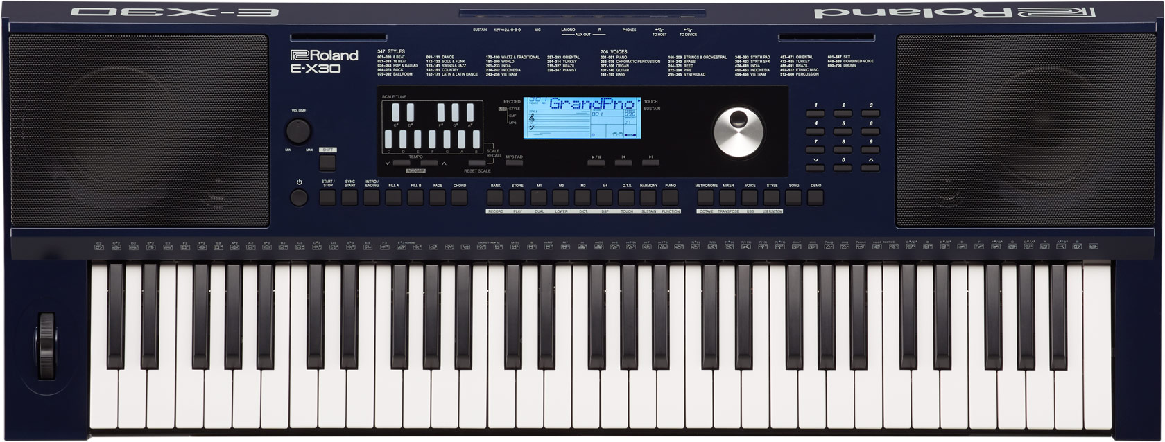 ROLANDD ROLAND EX - 30 Professional Audio Equipment for Musicians, Live Performance and Studio Applications view 1