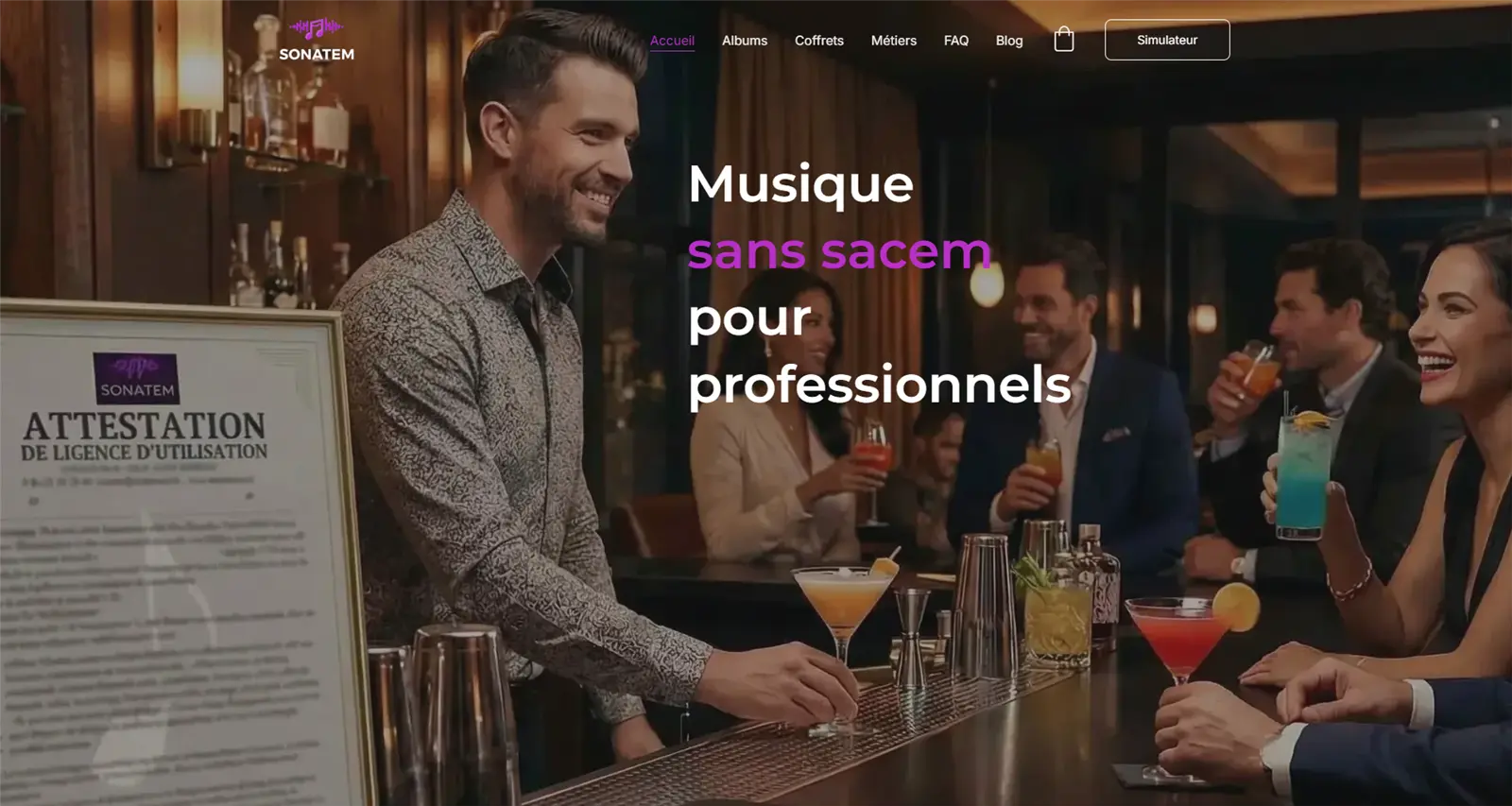 Aperçu du projet Sonatem