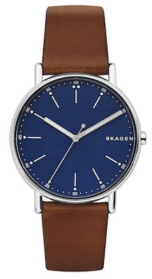 Skagen Signatur Men's watch