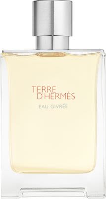 Hermès Terre d'Hermès Eau Givrée EdP 100 ml