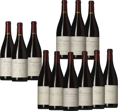 Burgundy Red Tasting Box 12x75 cl. - Alc. 13% Vol.