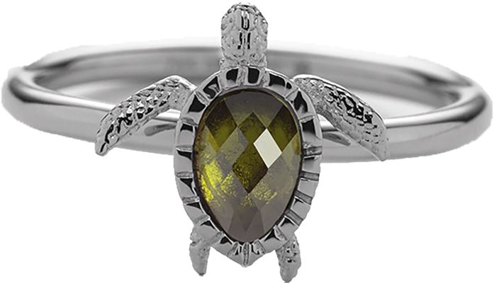 Paul Hewitt Turtle Ring Silver