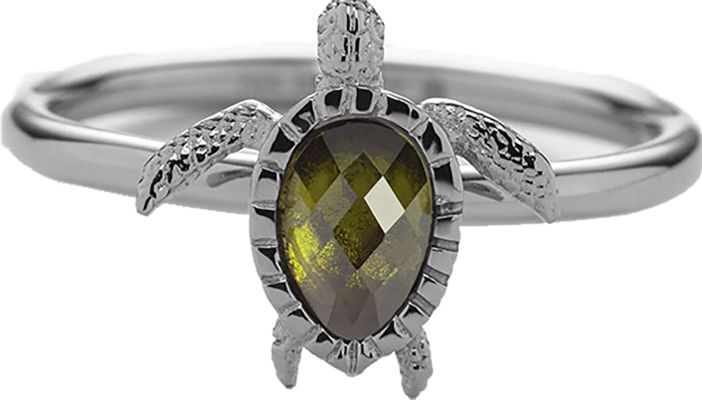 Paul Hewitt Turtle Ring Silver