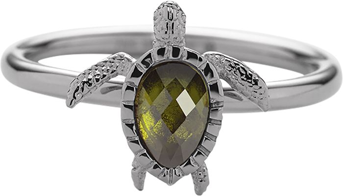 Paul Hewitt Turtle Ring Silver