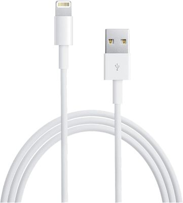 Apple Lightning to USB Cable 1m