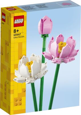 Lego Icons 40647