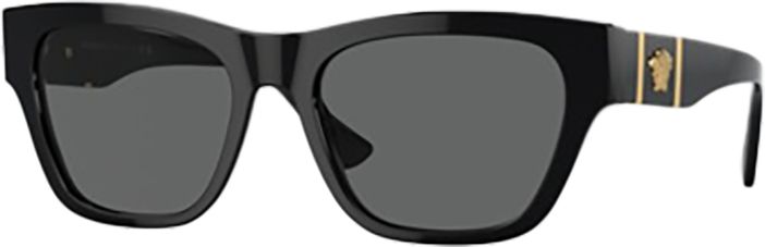 Versace Men's sunglasses