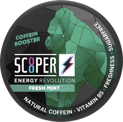 Scooper Booster Fresh Mint