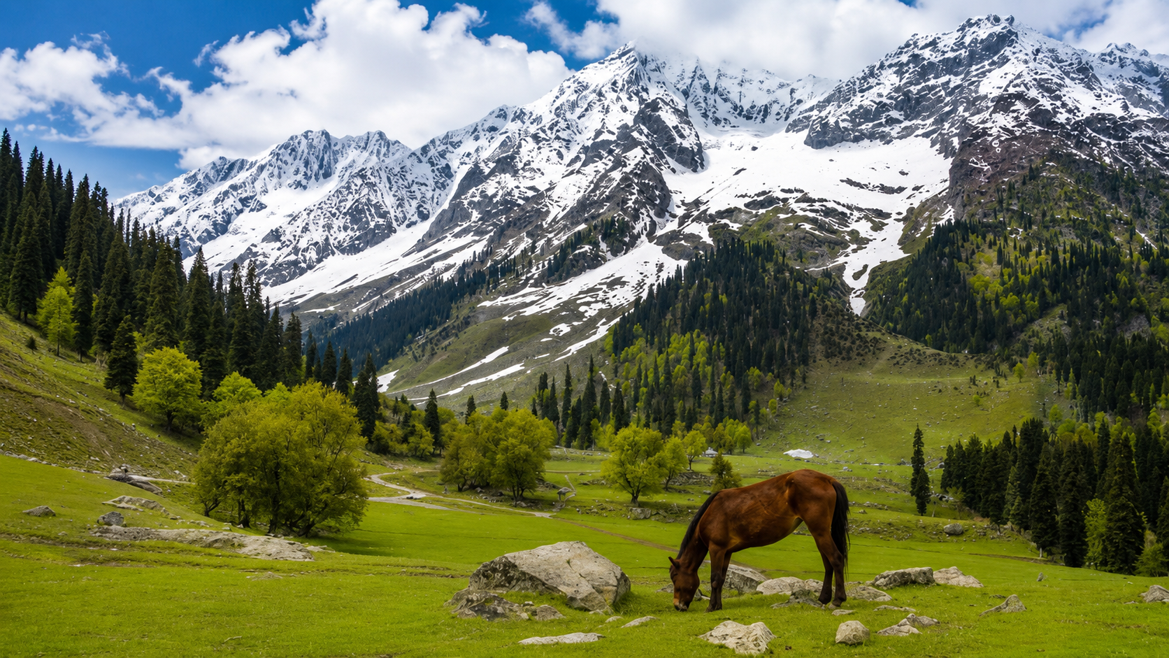 Kashmir