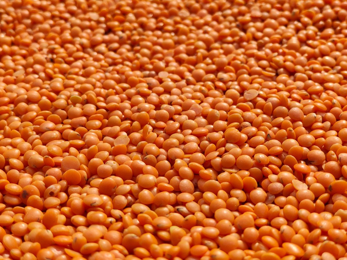 Split Red Lentils (Masoor Daal)