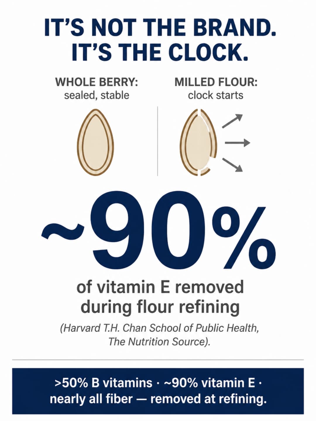 Big-number stat card showing ~90% of vitamin E removed during flour refining, with a schematic comparing a sealed whole berry to milled flour with oxidation arrows, sourced to Harvard T.H. Chan School of Public Health