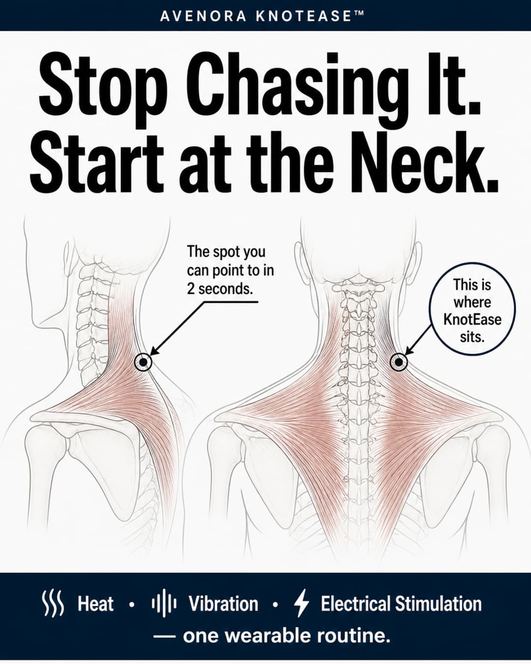 Flat infographic showing an anatomical schematic of the neck–trapezius junction with the annotation 'The spot you can point to in 2 seconds' and the headline 'Stop Chasing It. Start at the Neck.' — introducing Avenora KnotEase.