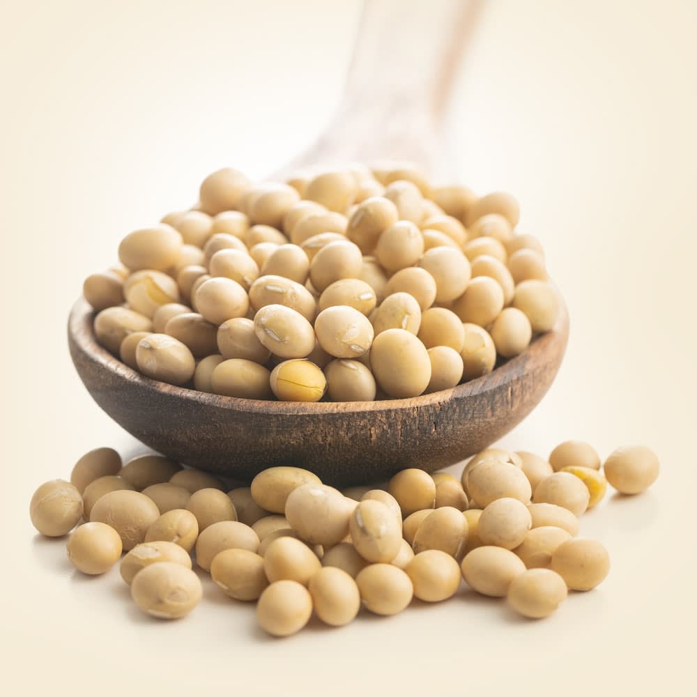 Latur Yellow Soya Seeds Soyabean Wholesale Supplier