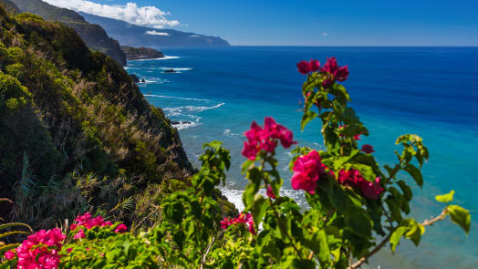 Kanarische Inseln & Madeira