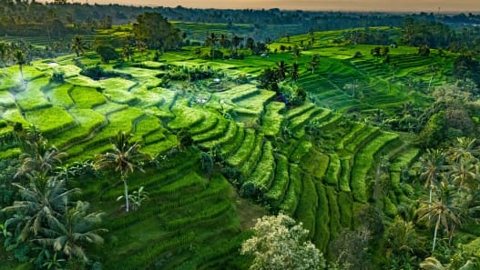 Von Bali nach Sydney