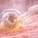Embryo Glue & Assisted Implantation
