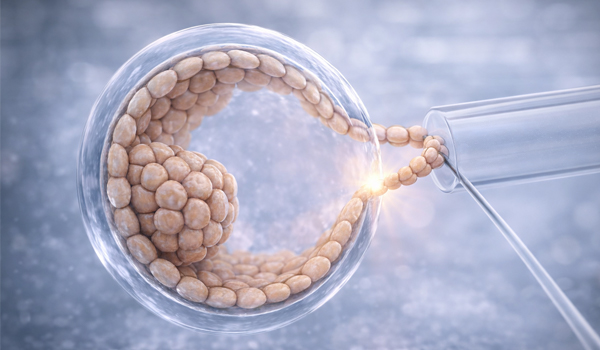 PGT-A / PGS (Preimplantation Genetic Testing)
