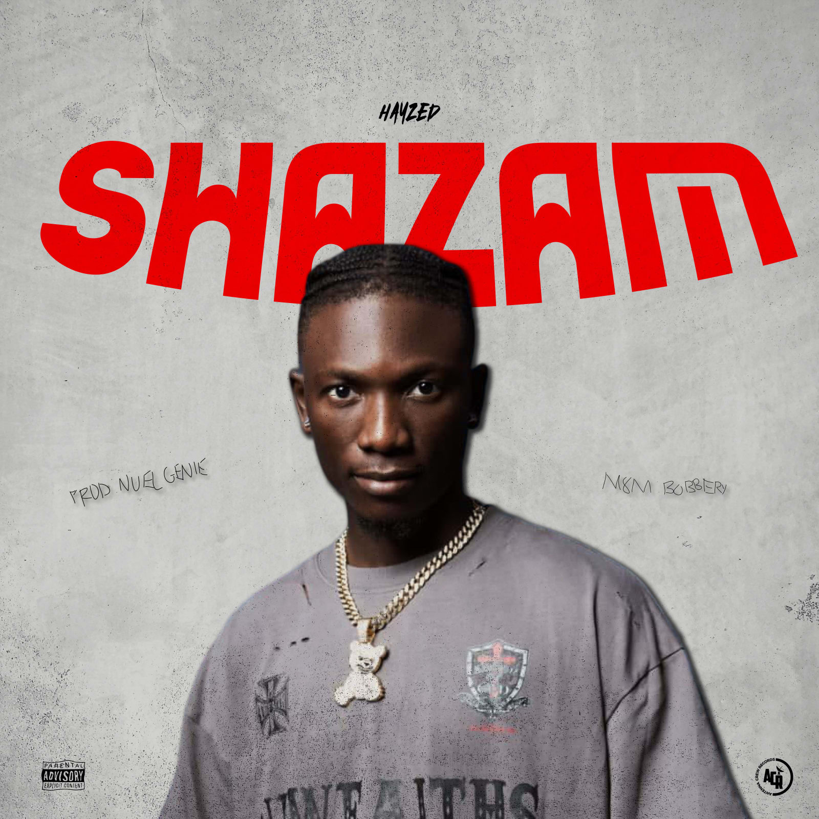 Shazam — Hayzed album cover