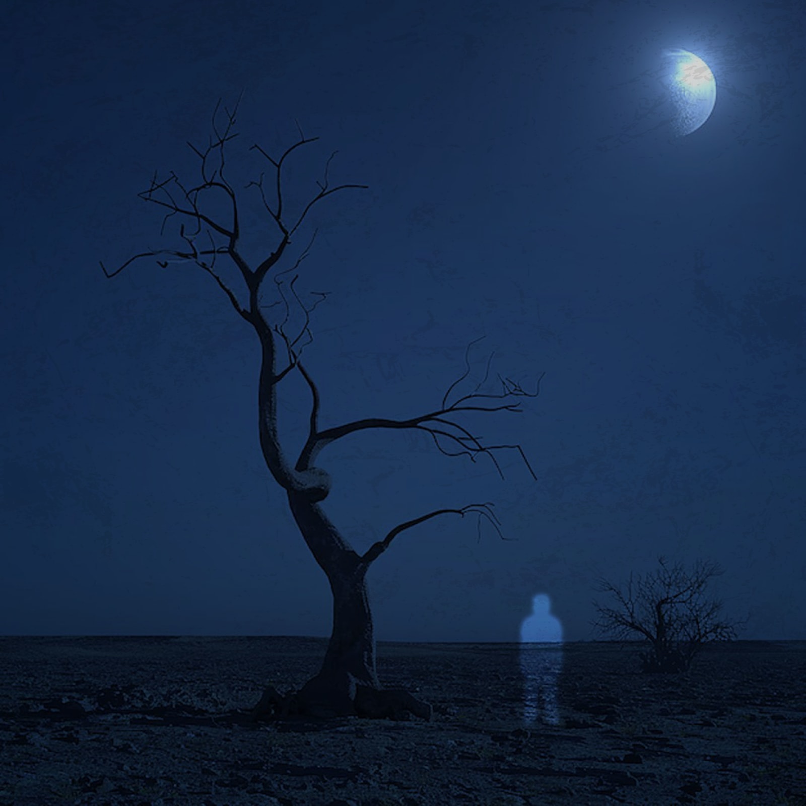 Sins and Lies album cover