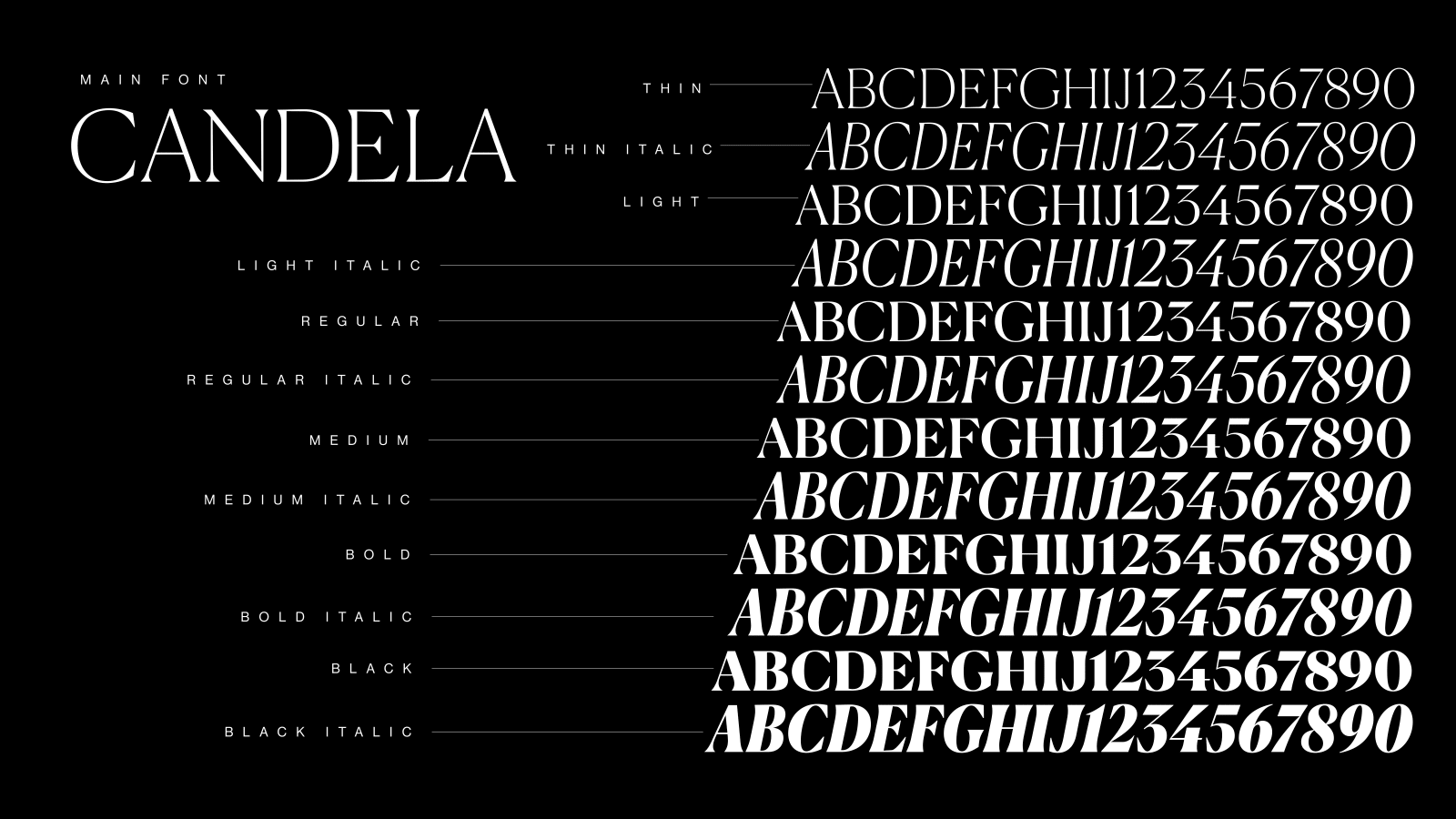 Alchemy branding visual 17