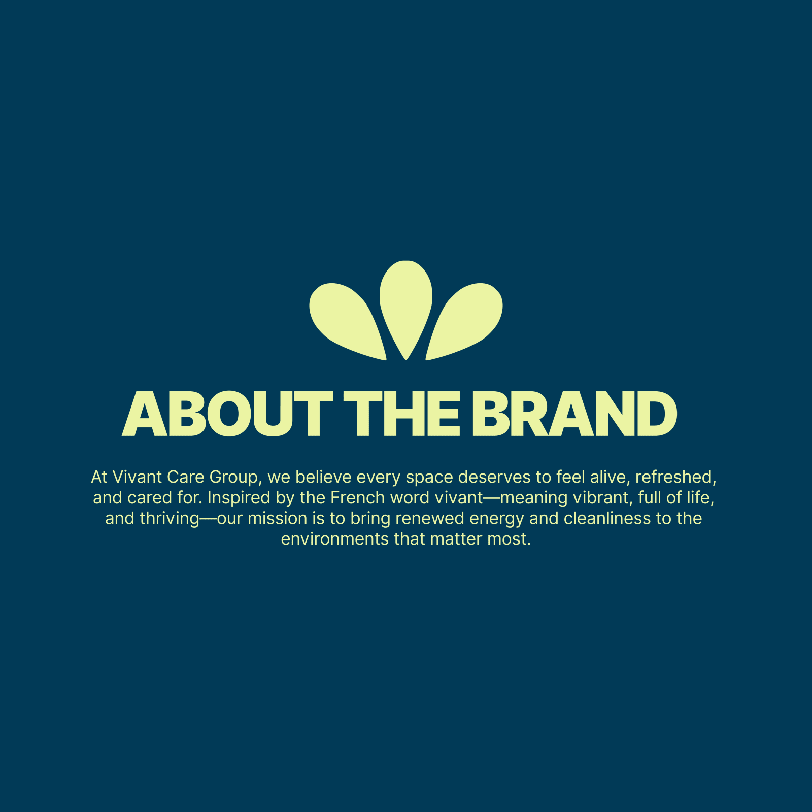 Vivant Care Group branding visual 20