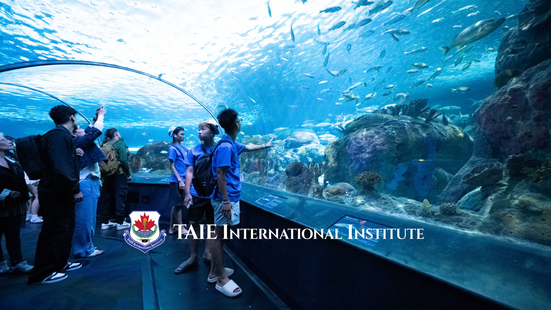 Học sinh khám phá thành phố Toronto