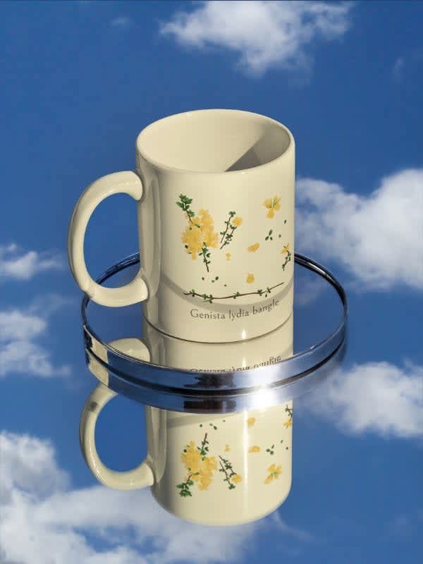11 oz aesthetic flower mug mockup featuring a small mirror and a reflective surface