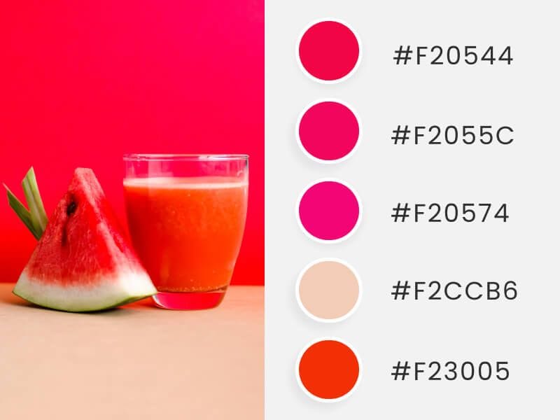 Watermelon Inspired Summer Color Palette