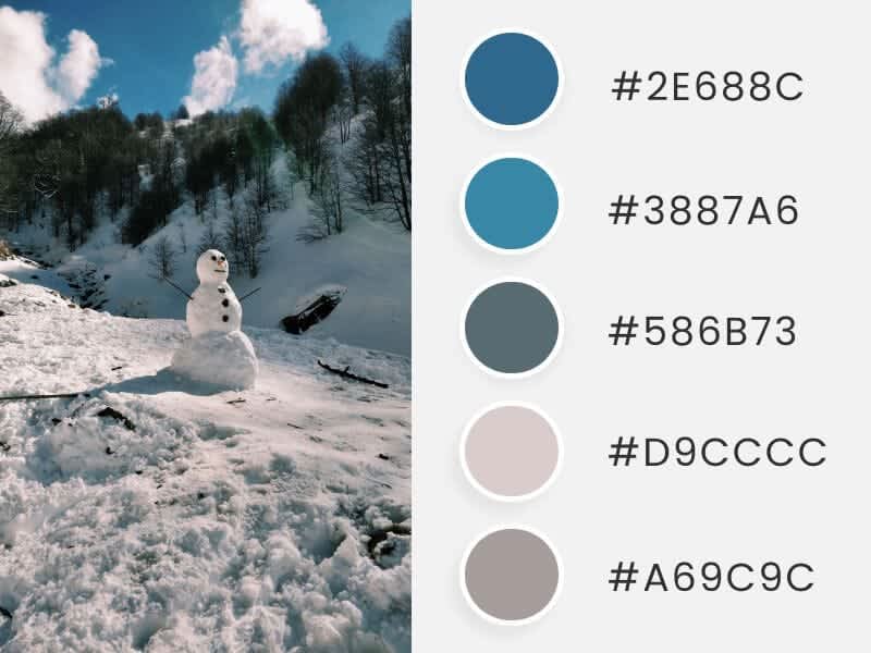 A cool snowman in a snowy mountain captured in a photograph, accompanied by color circles displaying their corresponding hex codes.