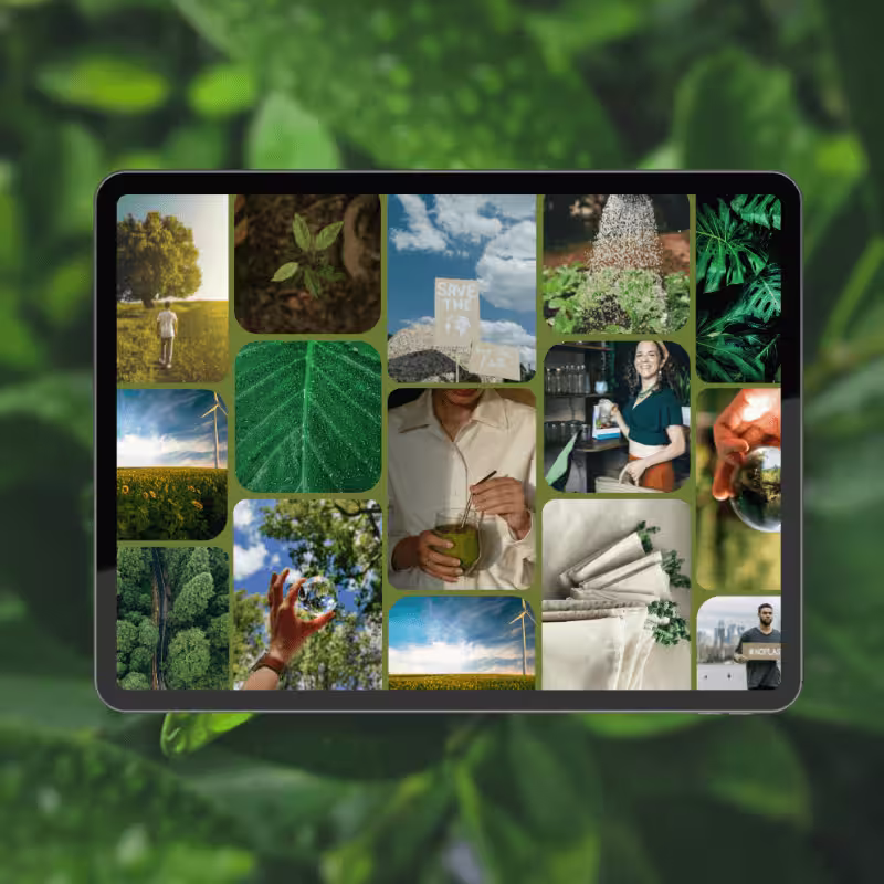 Eco-Friendly Print-On-Demand Websites Thumbnail