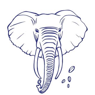 Coffee Shop The Elephant Coffee