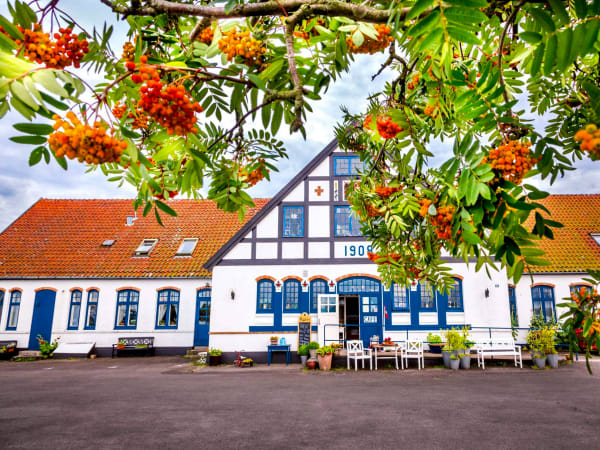 Kagebord på Fru Petersens Café